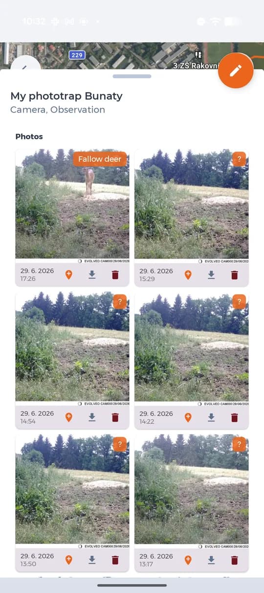 Fotos der Kamera mit erkannter Art.