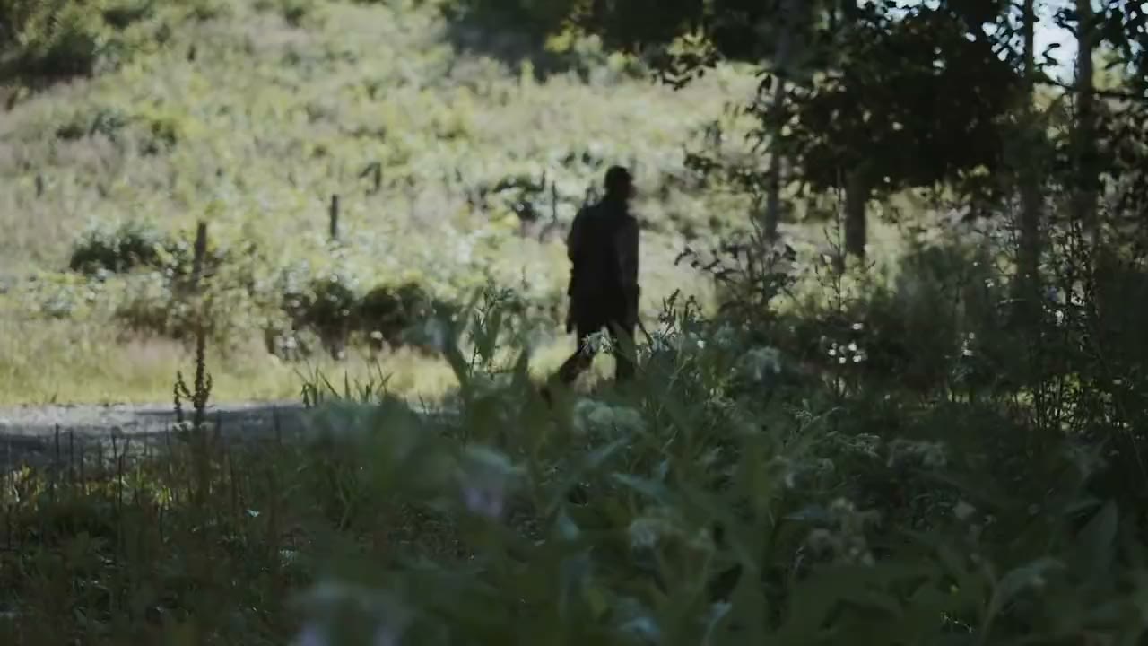 Jäger mit Jagdhund auf einem Waldweg im Morgenlicht – Intro-Video der HUNTERRA-App Jäger mit Jagdhund auf einem Waldweg im Morgenlicht – Intro-Video der HUNTERRA-App